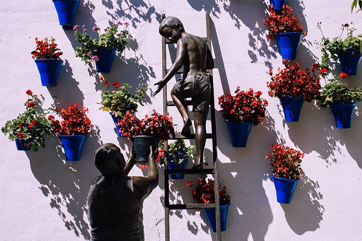 elevating garden plants